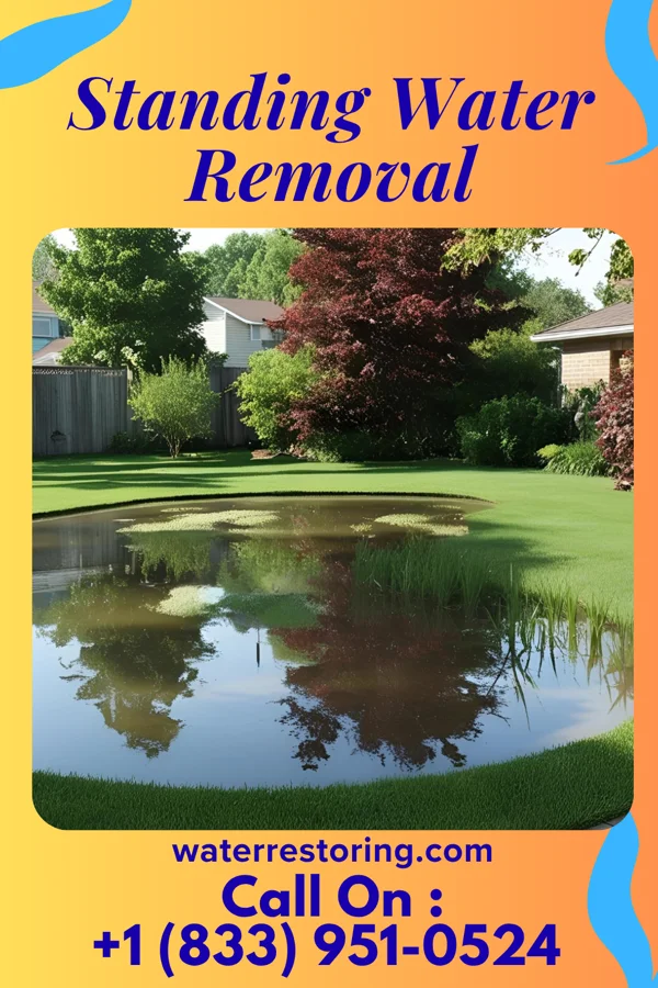 Standing Water Removal in Malakoff, TX